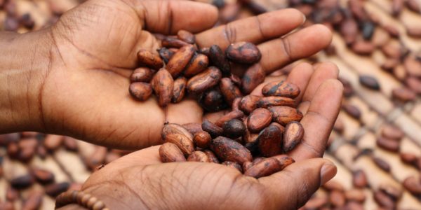 coffee-beans-origins